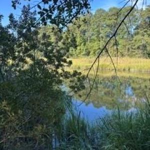 Photo #3 of 4 ACRE Gayle Way, Carrollton, Virginia 4.0 acres