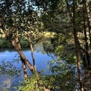 Photo #4 of 4 ACRE Gayle Way, Carrollton, Virginia 4.0 acres