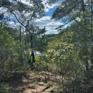 Photo #5 of 4 ACRE Gayle Way, Carrollton, Virginia 4.0 acres
