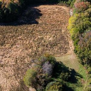 Photo #1 of 42-14 Chippokes Farm Road, Surry, Virginia 28.2 acres