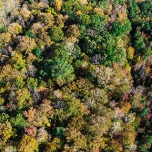 Photo #4 of 42-14 Chippokes Farm Road, Surry, Virginia 28.2 acres