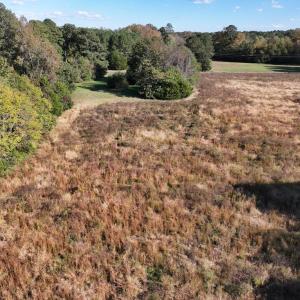Photo #6 of 42-14 Chippokes Farm Road, Surry, Virginia 28.2 acres
