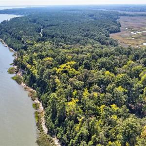 Photo #12 of 270 Lawnes Neck Drive, Smithfield, Virginia 5.0 acres
