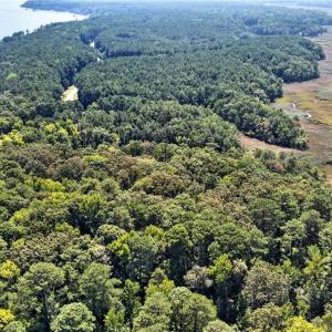Photo #15 of 270 Lawnes Neck Drive, Smithfield, Virginia 5.0 acres