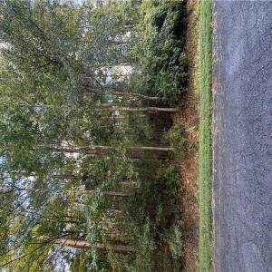 Standing on Darden street facing lot, this photo is taken between the two orange corner markers on the street labeled 255 and 256