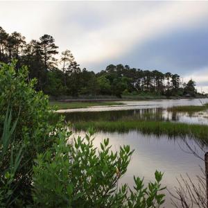 Photo #2 of 49 Bells Island Drive, Hampton, Virginia 11.6 acres