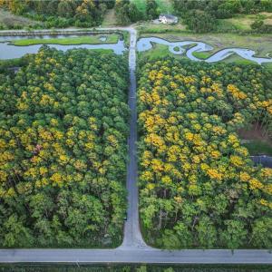 Photo #7 of 49 Bells Island Drive, Hampton, Virginia 11.6 acres