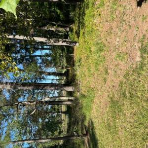 Photo #10 of LOT 8 LANDING Lane, North, Virginia 0.5 acres