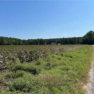 Photo #3 of 12 Ac Tar Road, Windsor, Virginia 12.3 acres