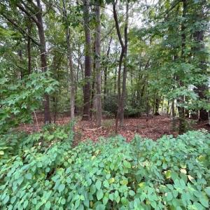 Photo #2 of MAPLE Drive, Chesapeake, Virginia 0.4 acres