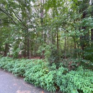 Photo #3 of MAPLE Drive, Chesapeake, Virginia 0.4 acres