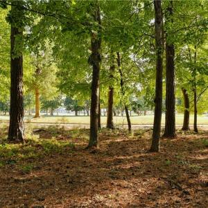 Rear property line backing up to golf course