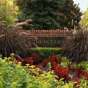 Hollies entrance