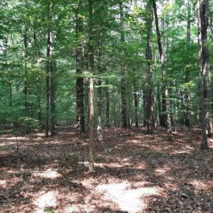 Photo #1 of 6628 Blackwater Road, Virginia Beach, Virginia 6.3 acres