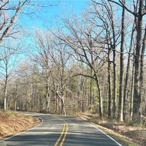 Photo #3 of 6628 Blackwater Road, Virginia Beach, Virginia 6.3 acres