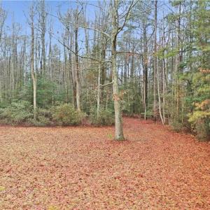 Photo #18 of High Bluff Lane, Barhamsville, Virginia 7.8 acres