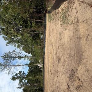 Photo #4 of Lot 14 Gary Court, Gloucester, Virginia 0.5 acres