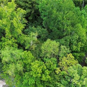 Photo #2 of 412 Fulcher Street, Suffolk, Virginia 0.1 acres