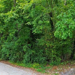 Photo #3 of 412 Fulcher Street, Suffolk, Virginia 0.1 acres