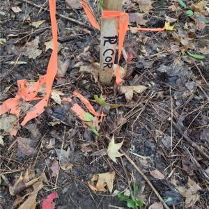 Property corners marked