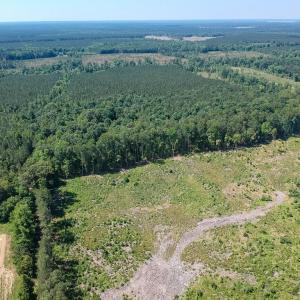 Photo #1 of 19041 The Glebe Lane, Charles City, Virginia 83.0 acres