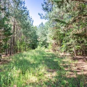 Photo #13 of 19041 The Glebe Lane, Charles City, Virginia 83.0 acres