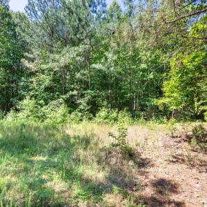 Photo #14 of 19041 The Glebe Lane, Charles City, Virginia 83.0 acres