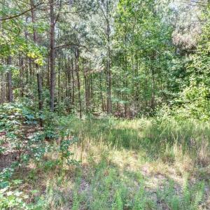 Photo #15 of 19041 The Glebe Lane, Charles City, Virginia 83.0 acres