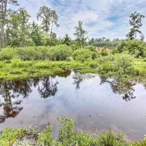 Photo #19 of 19041 The Glebe Lane, Charles City, Virginia 83.0 acres