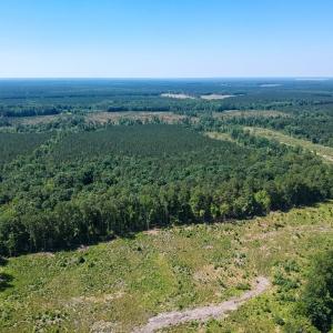 Photo #3 of 19041 The Glebe Lane, Charles City, Virginia 83.0 acres
