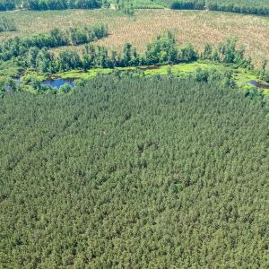 Photo #5 of 19041 The Glebe Lane, Charles City, Virginia 83.0 acres