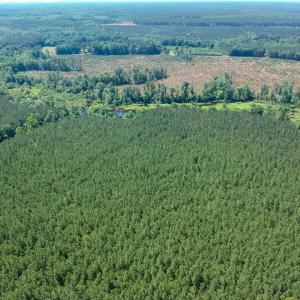 Photo #6 of 19041 The Glebe Lane, Charles City, Virginia 83.0 acres