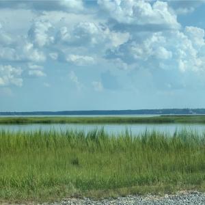 Photo #30 of Carmines Island Road, Hayes, Virginia 7.0 acres