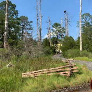 Photo #33 of Carmines Island Road, Hayes, Virginia 7.0 acres