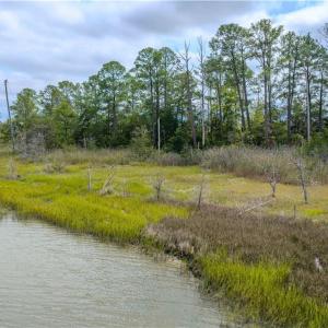 Photo #18 of Carmines Island Road, Hayes, Virginia 7.0 acres
