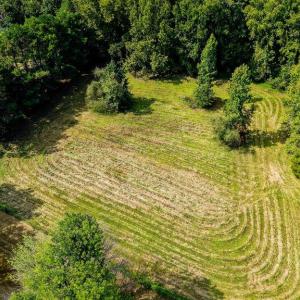 Photo #11 of 2010 Great Fork Road, Suffolk, Virginia 3.0 acres
