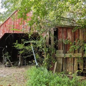 Photo #32 of 2010 Great Fork Road, Suffolk, Virginia 3.0 acres