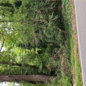 Photo #4 of 74 Normandy Lane, Newport News, Virginia 0.9 acres