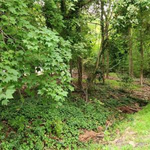 Photo #7 of 74 Normandy Lane, Newport News, Virginia 0.9 acres