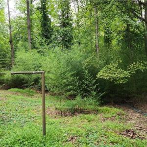 Photo #8 of 74 Normandy Lane, Newport News, Virginia 0.9 acres