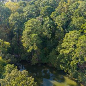 Photo #18 of Twiggs Ferry Road, Hartfield, Virginia 1.8 acres