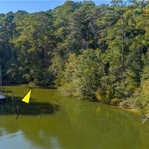 Photo #23 of Twiggs Ferry Road, Hartfield, Virginia 1.8 acres