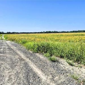 Photo #12 of 1769 Land Of Promise Road, Chesapeake, Virginia 25.0 acres