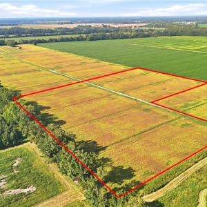 Photo #3 of 1769 Land Of Promise Road, Chesapeake, Virginia 25.0 acres