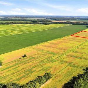Photo #5 of 1769 Land Of Promise Road, Chesapeake, Virginia 25.0 acres