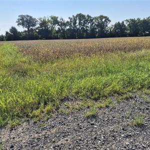 Photo #11 of 1773 Land Of Promise Road, Chesapeake, Virginia 37.3 acres