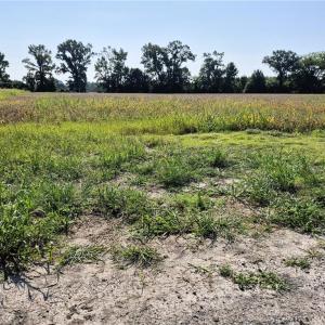 Photo #13 of 1773 Land Of Promise Road, Chesapeake, Virginia 37.3 acres