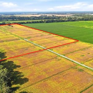 Photo #5 of 1773 Land Of Promise Road, Chesapeake, Virginia 37.3 acres