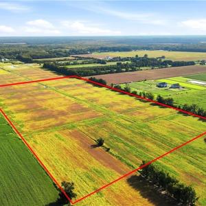 Photo #6 of 1773 Land Of Promise Road, Chesapeake, Virginia 37.3 acres