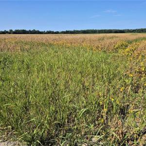 Photo #8 of 1773 Land Of Promise Road, Chesapeake, Virginia 37.3 acres